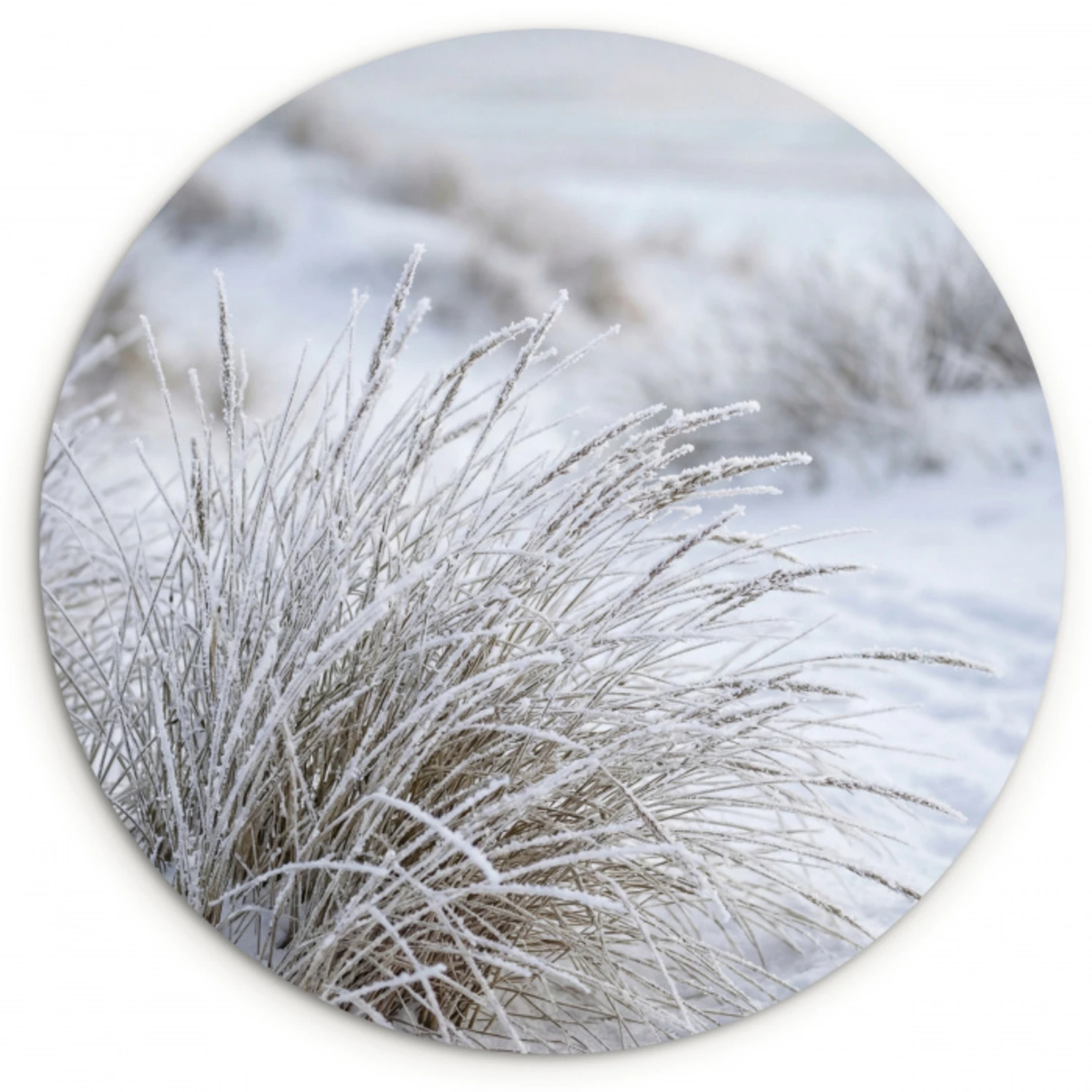 Duinen - Sneeuw - Strand - Winter - Serene Wandcirkel kunststof plaat 5mm dik klein -3d