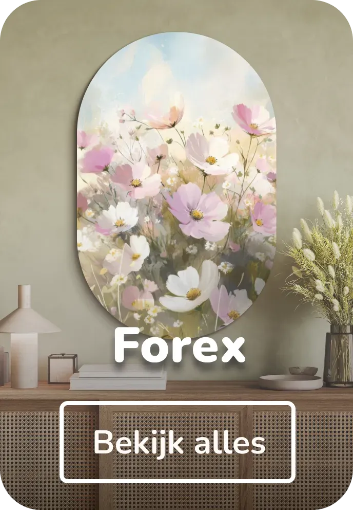 Muurovaal forex