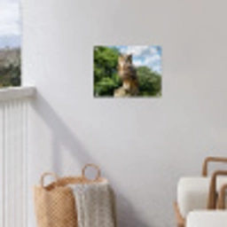 Uil - Boomstronk - Bos - Lucht tuinposter los doek klein -sfeer8