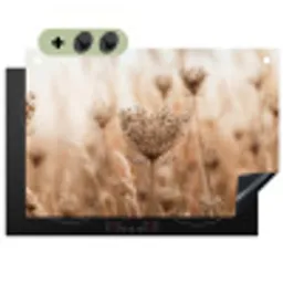 Schermbloem - Droogbloem - Winter - Beige - Minimalistisch Inductie beschemer met haakjes klein -3d