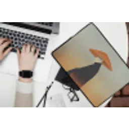 Minimalistisch - Silhouet - Oranje laptophoes neopreen klein -bureau