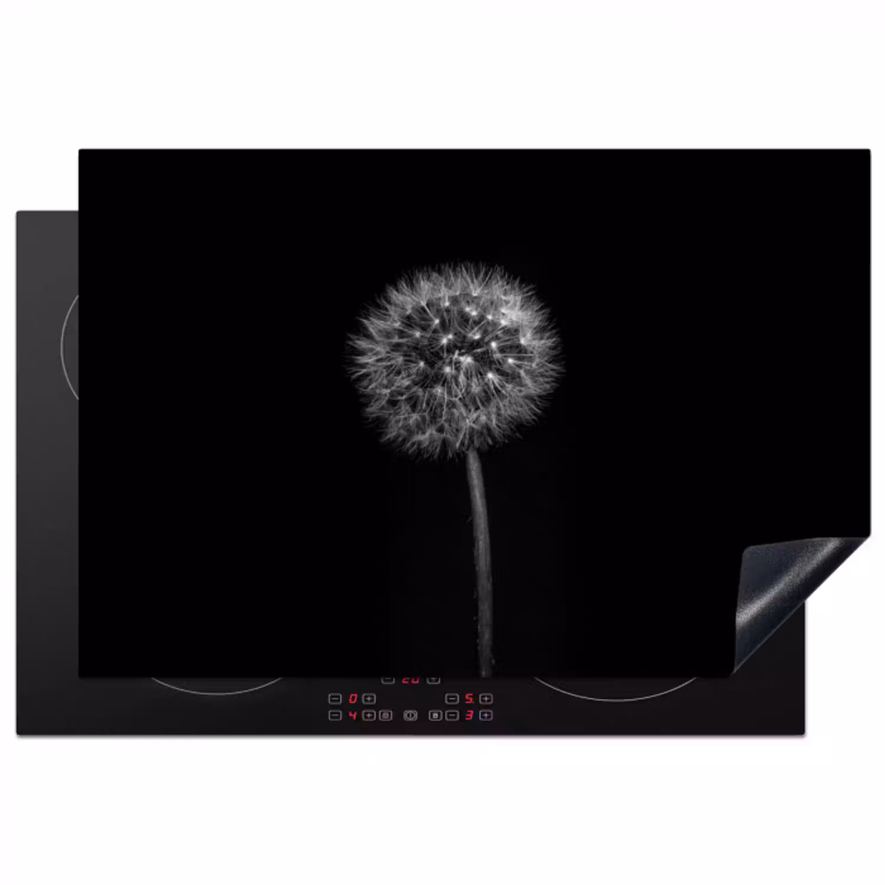 Paardenbloem - Zwart - Bloemen - Botanisch Inductie beschermer vinyl 3mm klein -3d