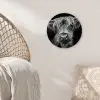 Schotse Hooglander - Horens - Zwart - Wit - Koe - Wild - Dieren Wandcirkel kunststof plaat 5mm dik klein -sfeer5