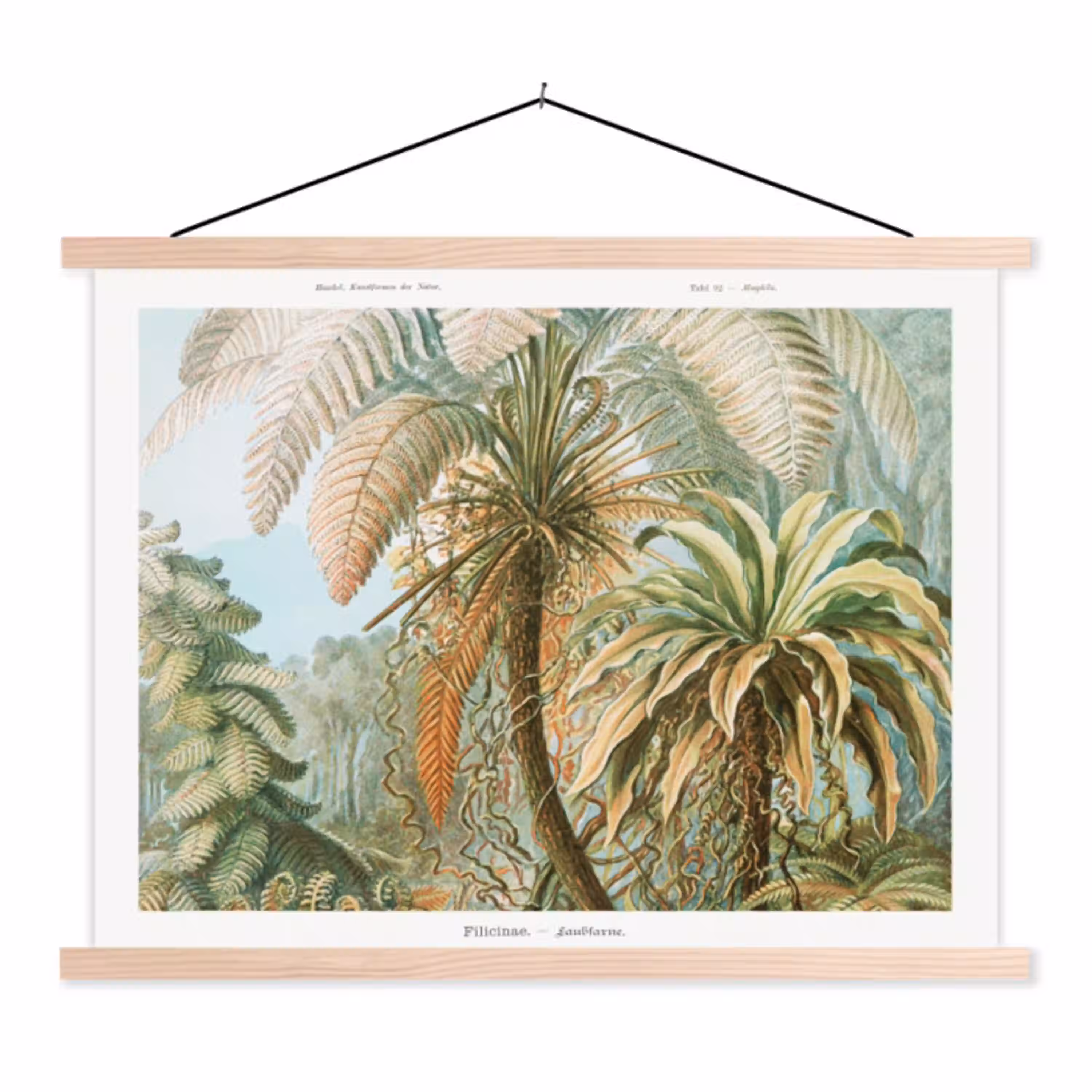Filicinae - Tuindecoratie - Tuinposter - Vintage - Oude meesters textielposter latten blank klein -3d