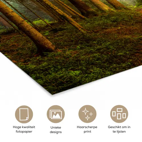 Bos - Natuur - Bomen - Landschap - Bladeren poster papier klein -closeup_NL