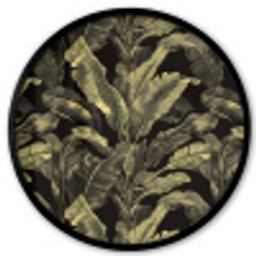 Botanisch - Bladeren - Groen Fotolijst rond zonder passe partout klein 856 -3d