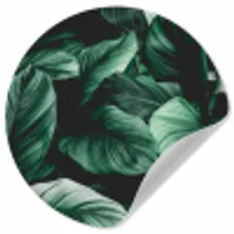 Jungle - Bladeren - Tropisch - Planten - Natuur Wandcirkel behangsticker klein -3d