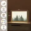Sparren - Bomen - Groen - Beige Light Box met kabel (Tafellamp) klein -USP_websiteoverzichtNL