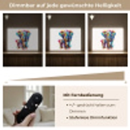 Olifanten - Dieren - Verf - Kleurrijk Light Box met batterij (Wandlamp) middel -USP_dimbaarDE