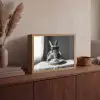 Konijn - Bunny - Zonnebril - Tafelkleed - Pasta - Schattig Light Box met batterij (Wandlamp) middel -sfeer2