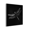 Libelle - Dieren - Zwart - Insect aluminium wit klein -3d