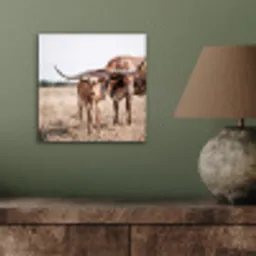 Texas Longhorn - Kalf - Weide - Dieren aluminium wit klein -sfeer2