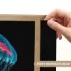 Kwal - Tentakels - Blauw - Licht Light Box met batterij (Wandlamp) middel -USP_websiteprintNL