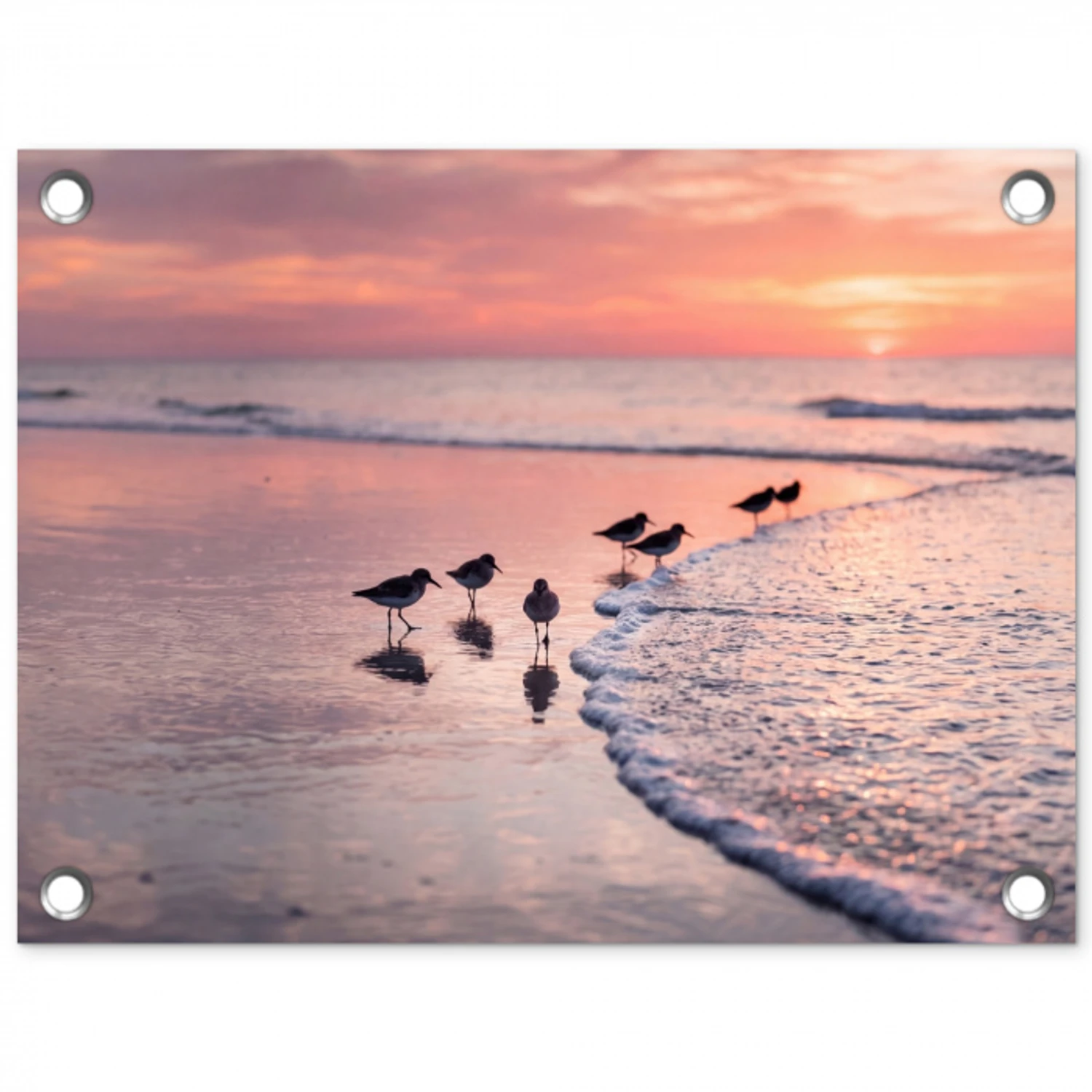 Meeuwen - Strand - Zee - Roze tuinposter los doek klein -3d