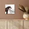 Paard - Modern - Balans plexiglas 5mm klein -sfeer5