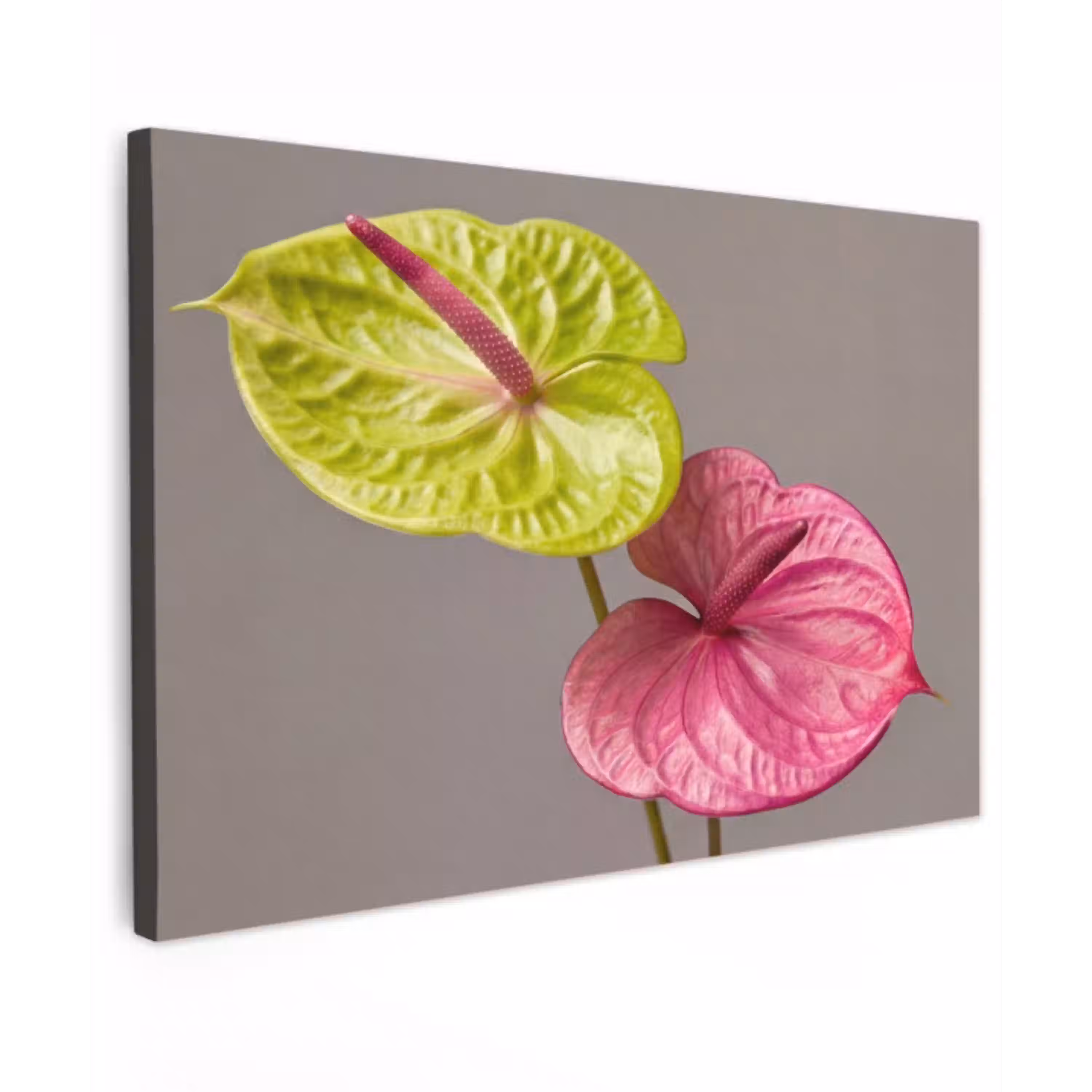 Planten - Anthurium - Groen - Roze Tuinposter op houten frame 2 cm dik klein -3d