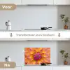 Dahlia - Bloem - Oranje keuken achterwand spatscherm klein -voor_na_NL