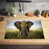 Olifant - Natuur - Gras - Dieren - Landschap Inductie beschermer vinyl 3mm klein -sfeer5