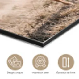 Texas Longhorn - Kalf - Weide - Dieren aluminium wit klein -closeup_FR