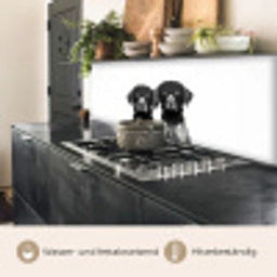 Honden - Bivakmuts - Zwart - wit keuken achterwand 2 middel -usp_DE