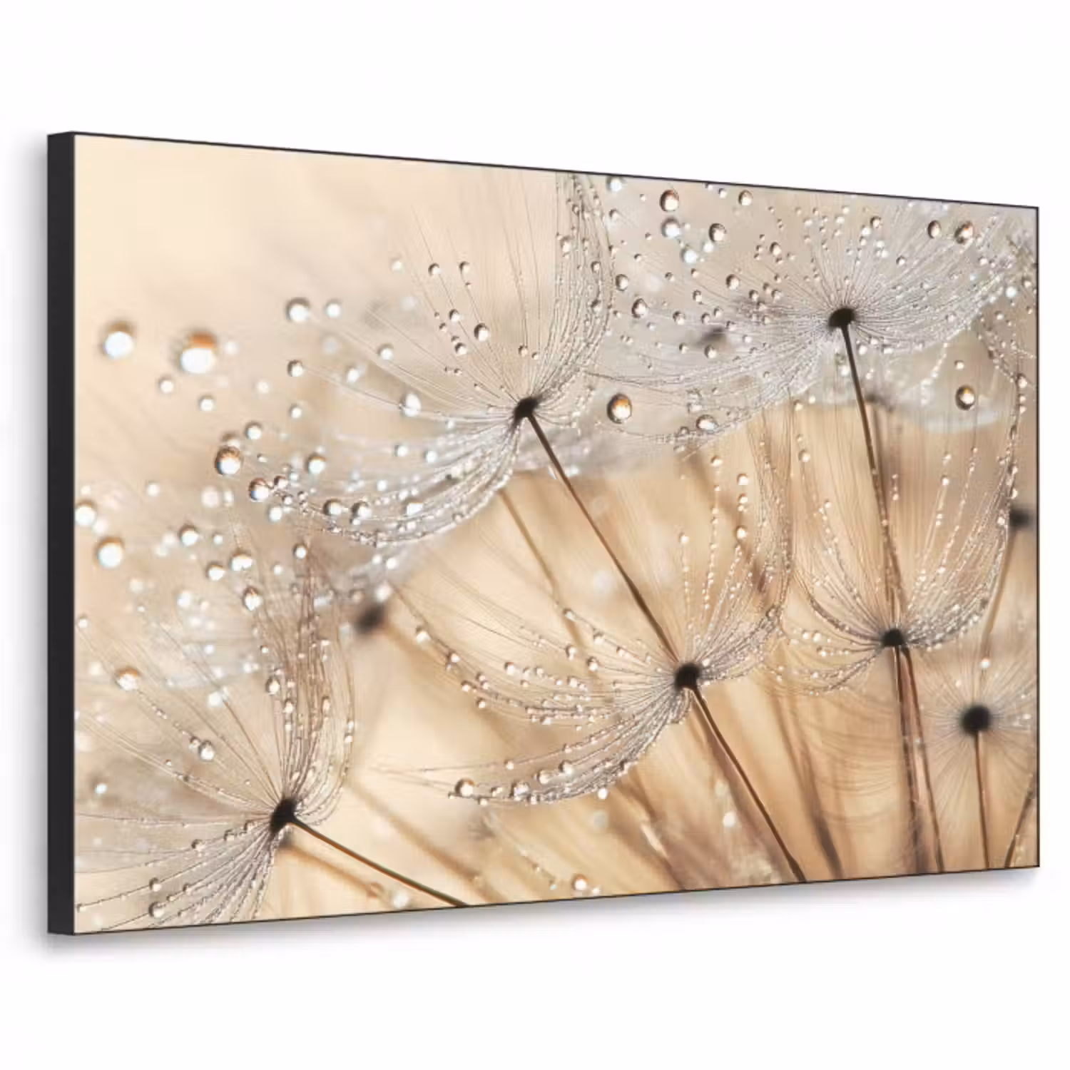 Art Frame - Löwenzahn - Abstrakt - Natur - Beige