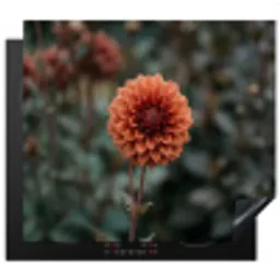 Dahlia - Bloem - Natuur - Sfeervol Inductie beschermer vinyl 3mm middel -3d