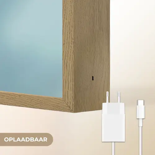 Paardenbloem - Wind - Blauw Light Box met batterij (Wandlamp) middel -USP_websiteoplaadbaarNL