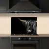 Schotse hooglander - Goud - Vacht - Dieren - Koe keuken achterwand spatscherm klein -sfeer1