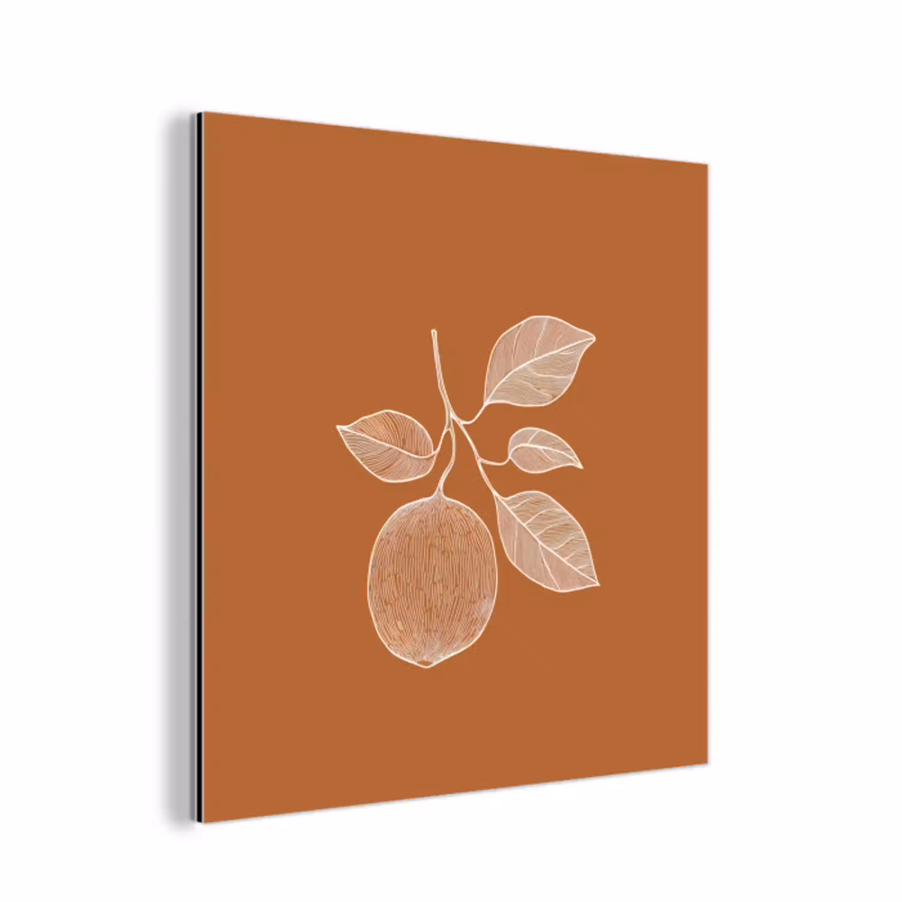Sinaasappel - Getekend - Bladeren - Bruin aluminium wit klein -3d