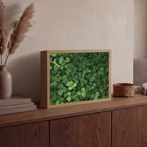 Groen - Bladeren - Kartel - Zonlicht Light Box met batterij (Wandlamp) middel -sfeer2