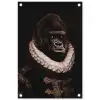 Willem van Oranje - Adriaen Thomasz - Aap tuinposter los doek klein -3d
