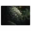 Blad - Groen - Nerven - Regendruppels Placemat vinyl groot -zzsfeer1_Kitchenyeah-website