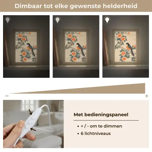 Vogel - Tak - Bloemen - Oranje Light Box met kabel (Tafellamp) klein -USP_dimbaarNL
