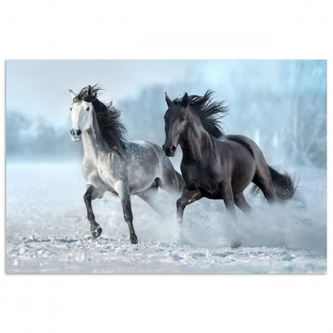 Poster - Paarden - Winter - Dieren - Natuur - Sneeuw