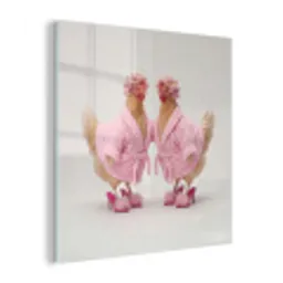Kippen - Badjas - Krukspelden - Hakken plexiglas 5mm klein -z3d