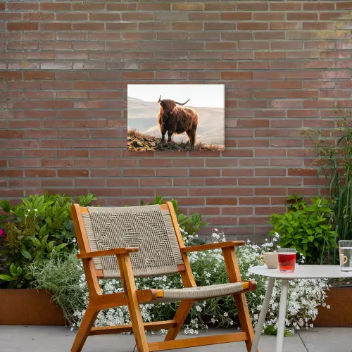 Schotse hooglander - Dieren - Landelijk - Landschap - Koe - Natuur Tuinposter op houten frame 2 cm dik klein -sfeer3