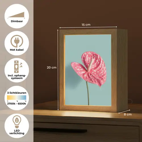 Blad - Anthurium - Stippen - Roze Light Box met kabel (Tafellamp) klein -USP_NL