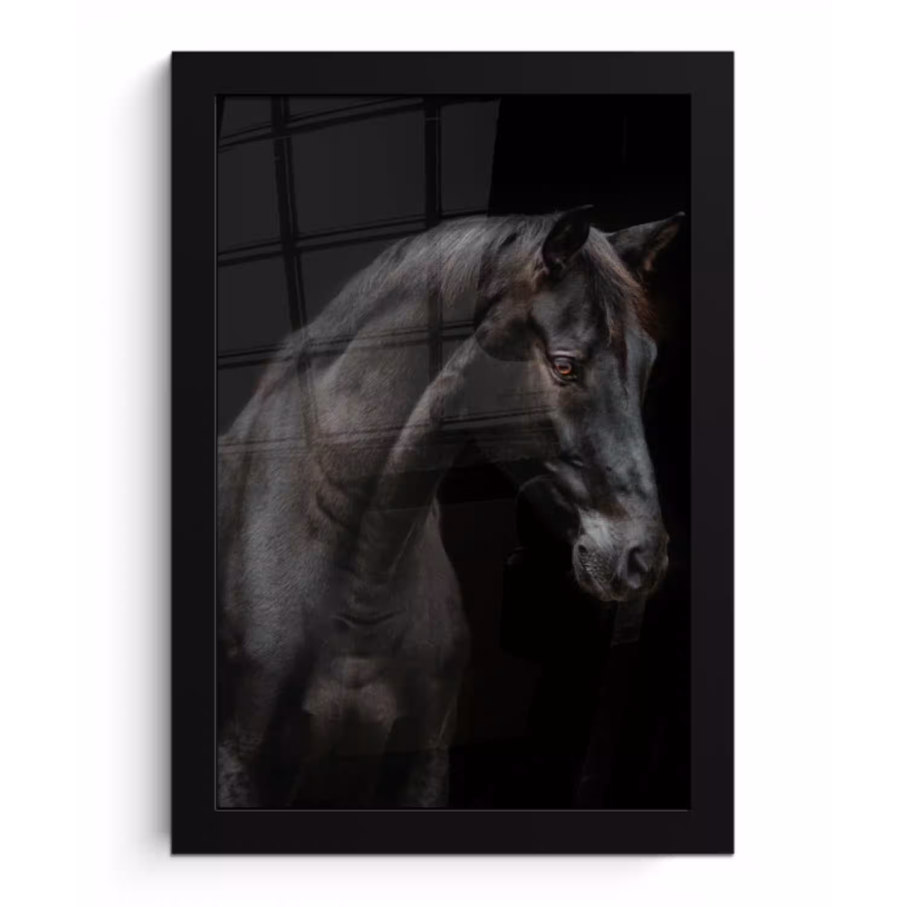 Paard - Dieren - Zwart - Portret fotolijst zwart zonder passe partout klein -3d