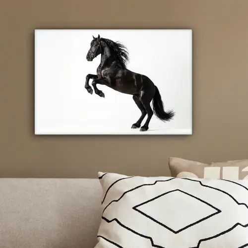 Zwart - Paard - Portret canvas 2cm klein -sfeer3