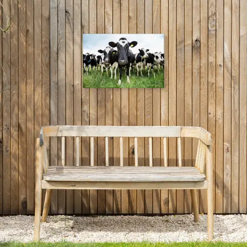 Nieuwsgierige koeien Tuinposter op houten frame 2 cm dik klein -sfeer4