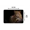 Wilde dieren - Panter - Portret - Zwart - Dieren Placemat vinyl groot -specs