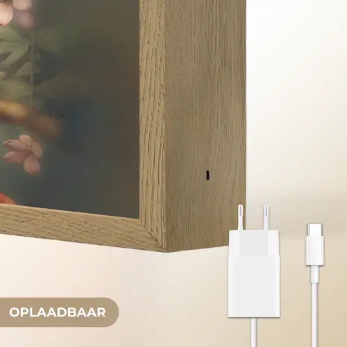 Toekan - Vogel - Bloemen - Planten Light Box met batterij (Wandlamp) middel -USP_websiteoplaadbaarNL