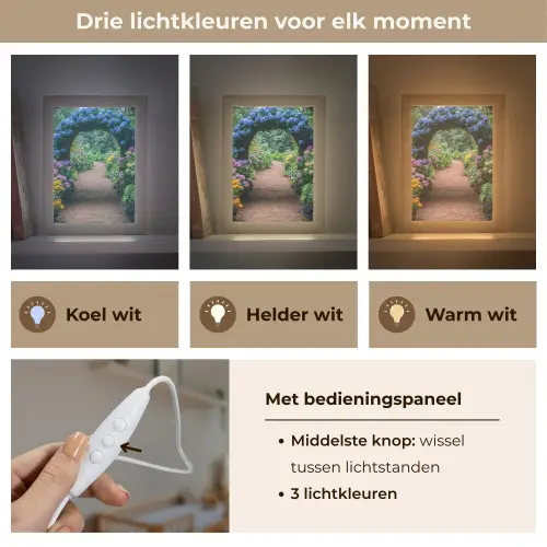 Doorkijk - Bloemen - Hortensia - Pad Light Box met kabel (Wandlamp) klein -USP_lichtkleurNL