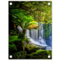 Waterval in het Regenwoud tuinposter los doek klein -3d
