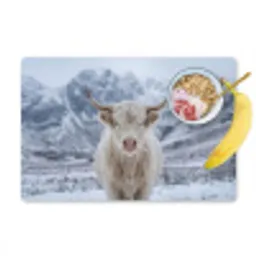 Schotse Hooglander - Sneeuw - Bergen - Winter Placemat vinyl groot -zzzproduct_Kitchenyeah-website