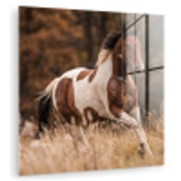 Paard - Bruin - Gras plexiglas 5mm klein -zzzproduct_nieuw