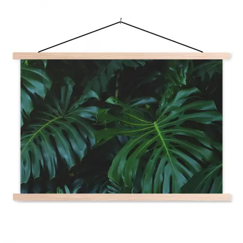 Monstera - Bladeren - Tropisch - Jungle textielposter latten blank klein -3d