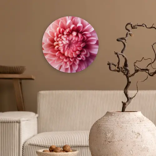 Dahlia - Bloem - Close up - Roze Wandcirkel plexiglas klein -sfeer1