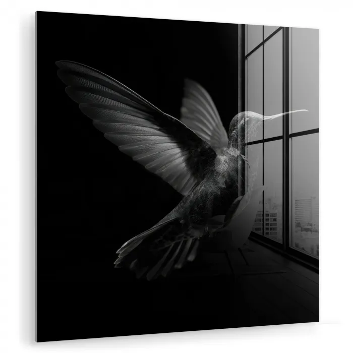 Kolibrie - Zwart - Dieren plexiglas 5mm klein -zzzproduct_nieuw