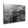 Schotse hooglander - Kalf - Zwart - Wit Tuinposter op houten frame 2 cm dik klein -3d